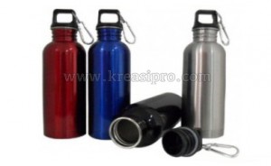 Stainless Bottle – Ventura Plus